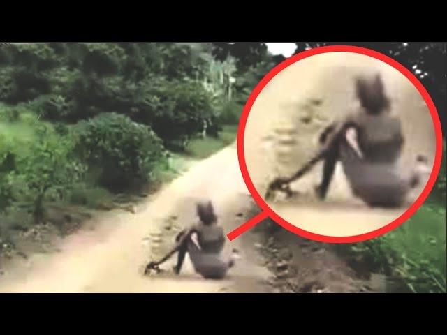 Mysterious Creatures Caught On Camera & Spotted In Real Life