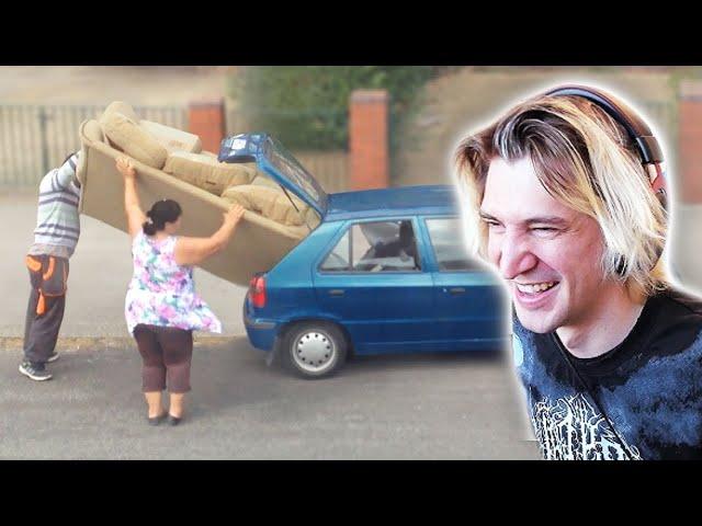 Humans are Getting Dumber | xQc Reacts