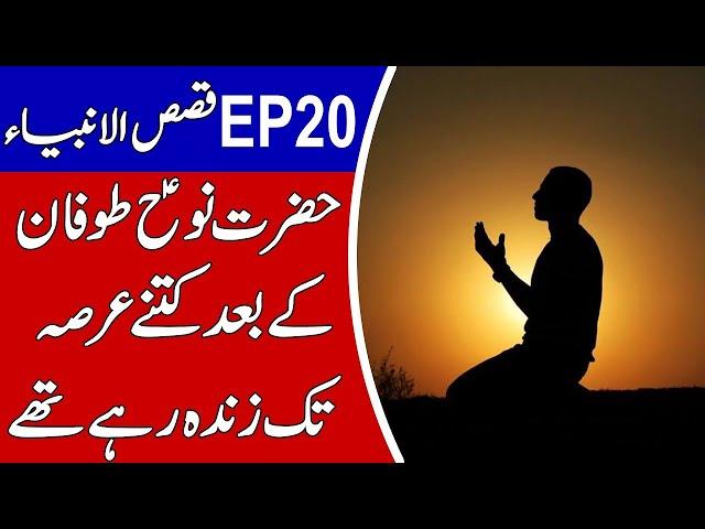 New Qasas ul Anbiya EP 20 | Hazrat Noah A.S Life| Talha Films