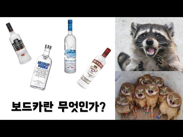 보드카란 무엇인가