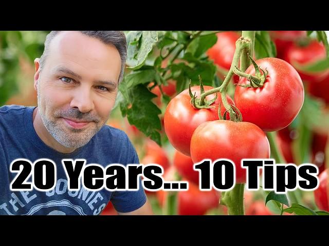 My TOP 10 TOMATO Growing Tips from 20 Years of Experience