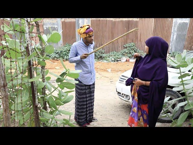 SHORT FILM (BAKAATI) SHAADIYO SHARAF IYO ABDIFITAH OO REER BAADIYO AH MAXAA KALA QABSADAY QOSOLKA