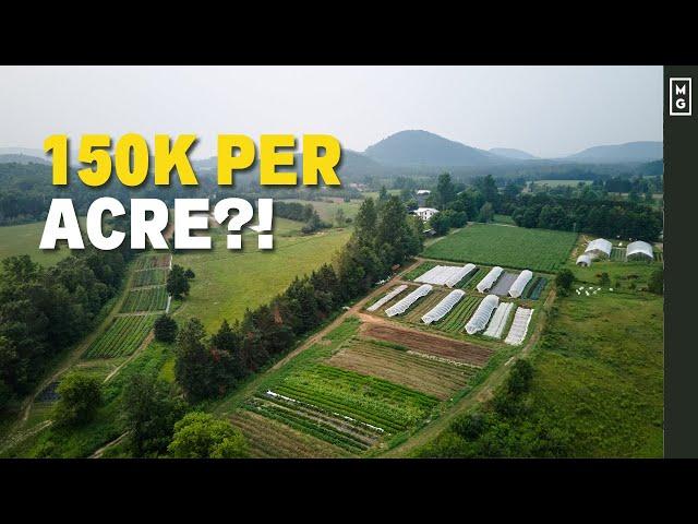 How Much Money Can A Small Farm Make? Let's Talk Numbers