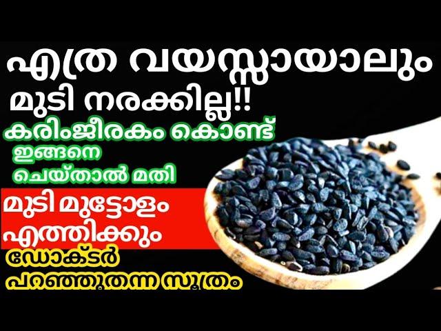 Natural Hair Dye||കരിംജീരകം കൊണ്ട് ഇങ്ങനെ ചെയ്താൽ മതി നരച്ചമുടി കറുപ്പിക്കാം#trending#hairdye