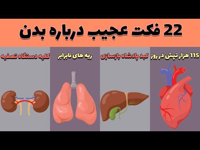 22 فکت جالب درباره بدن انسان دانستنی و حقایق عجیب درباره بدن که نمی دانستید