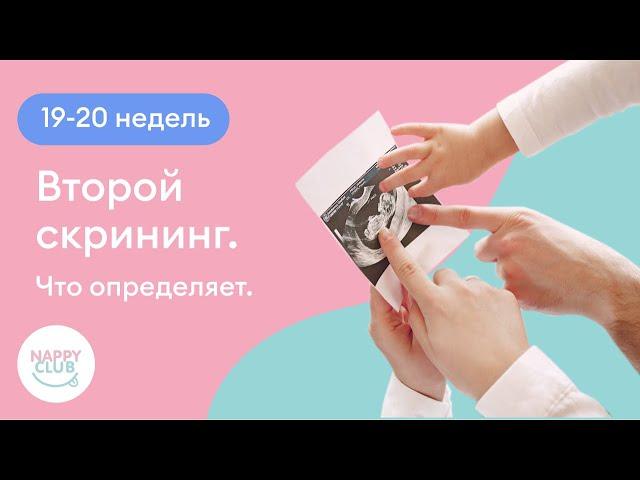 19-20 недель. Второй скрининг. Что определяет