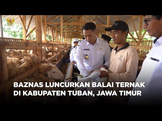 BAZNAS LUNCURKAN BALAI TERNAK DI KABUPATEN TUBAN, JAWA TIMUR