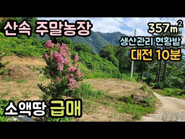 (매물번호14113) 4500만원 금산부동산 357㎡(108) 금산땅 금산토지매매매물 시골땅 촌땅 농막 텃밭 소액 산속 주말농장 싼땅 급매 대전토지 대전부동산 청주땅 옥천땅 보은땅