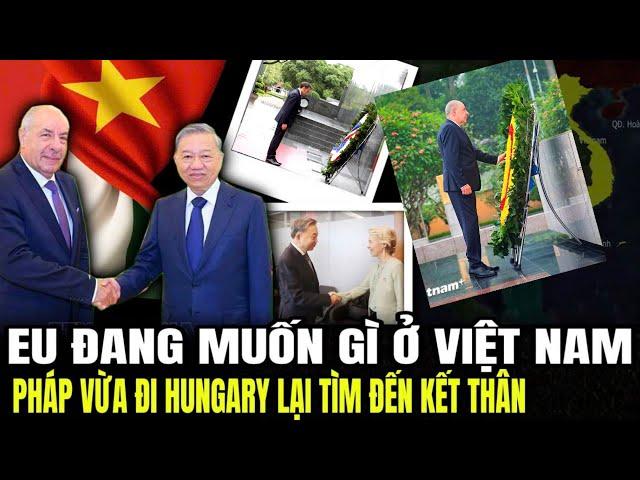 EU Đang Muốn Gì Ở Việt Nam: Pháp Vừa Đi Hungary Lại Tìm Đến Kết Thân | Lịch sử quân sự