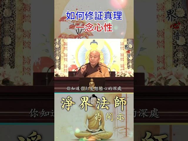 真理一念心性, 如何修証 | 淨界法師  #佛教 #佛法 #阿彌陀佛 #正能量