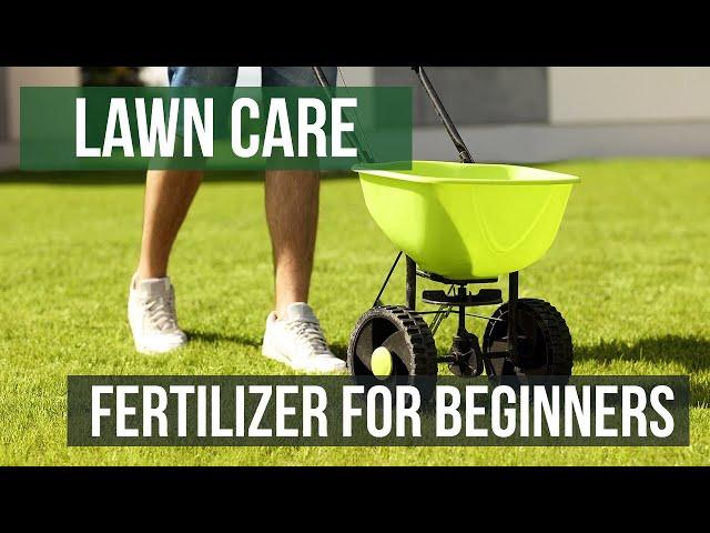 How to Apply Fertilizer for Beginners: A Lawn Care Guide