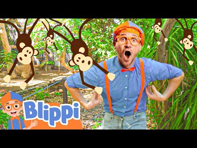 Explore Monkey Jungle Animals with Blippi! | Children's Zoo Adventure | Educational Videos For Kids