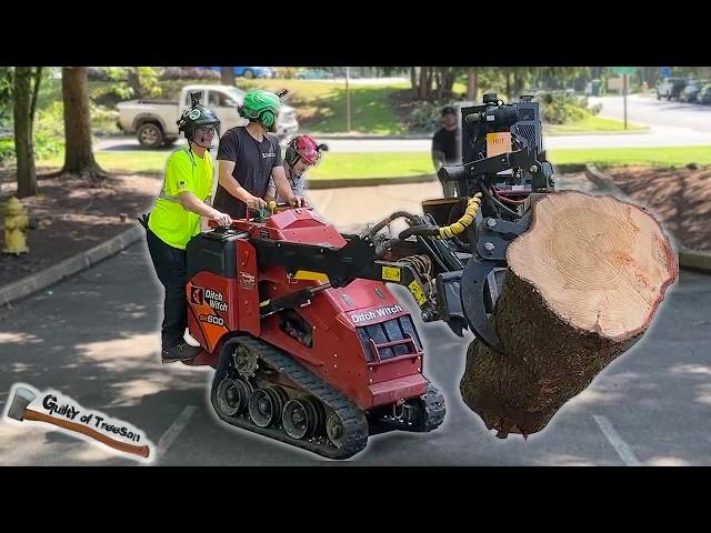 This job was Double TROUBLE! Double Deodar Cedar Removal Job