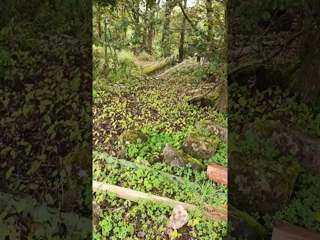 Think I found the Flume...