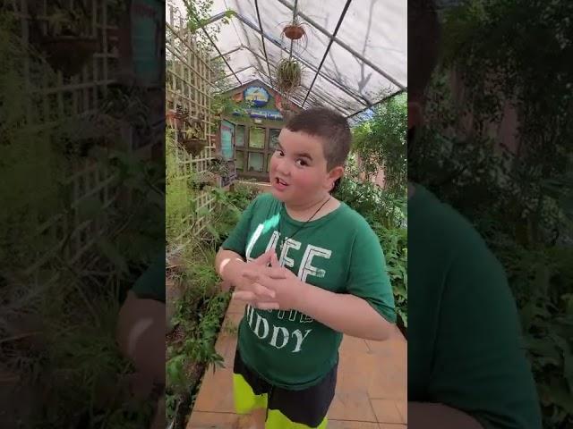 Gladys Porter Zoo Learning about insects and bettles. Juanito Arteaga.