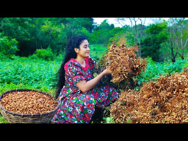 Authentic Sri Lankan Peanuts Galore  Making Caramelized Chikki, Durian Crepe Cake &Easy  Watalappan