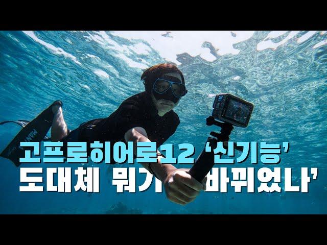 고프로히어로12, 달라진 '신기능'들을 소개합니다! | Explore the new features of GoPro Hero 12 !!