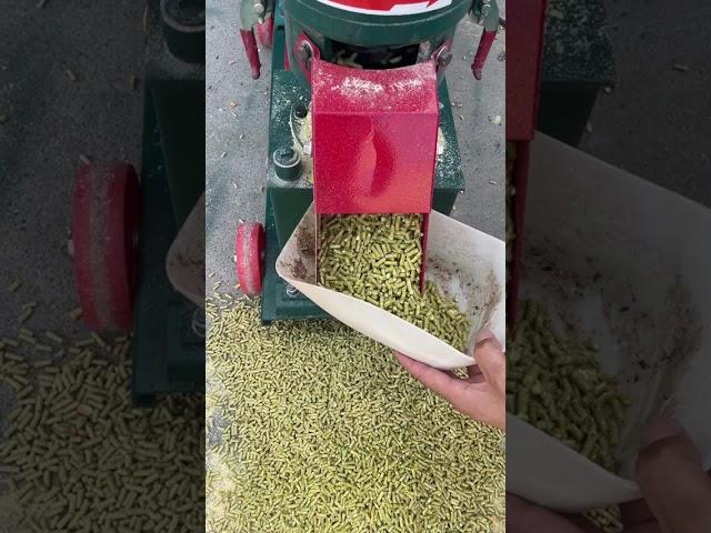 Feed Pellet Machine: Inclined Rollers vs Flat Rollers Benefits