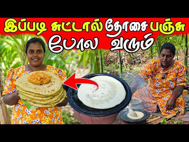 பஞ்சு போல தோசை எங்கள் காலை உணவு | Our village life ️ | vanni vlog