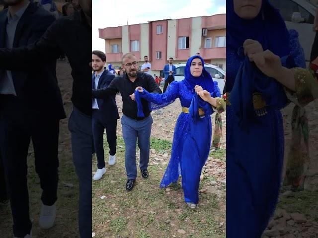 koma desta gever dilbirin ve evin düğünü silopya