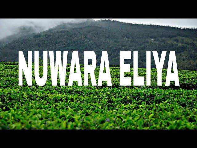 NUWARA ElIYA SRI LANKA