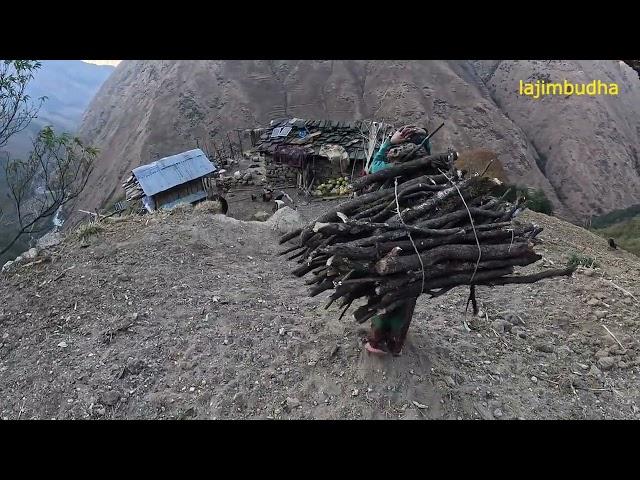 taste of the himalayas : authentic nepali winter dishes || lajimbudha ||