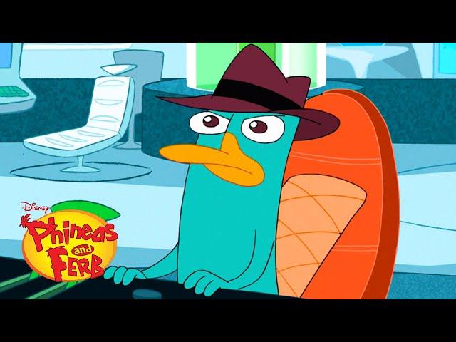 Perry's Best Moments | Compilation | Phineas and Ferb | @disneyxd