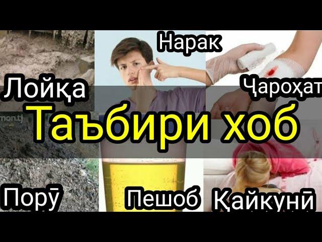 Таъбири хоб:Пору дар хоб,Кайкуни дар хоб,Пешоб  дар хоб,Чарохат дар хоб,Лойка дар хоб,Нарак дар хоб