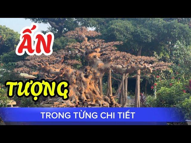 Quảng Tùng| Rất nhiều TP vừa được chỉnh sửa chia sẻ Quý vị !