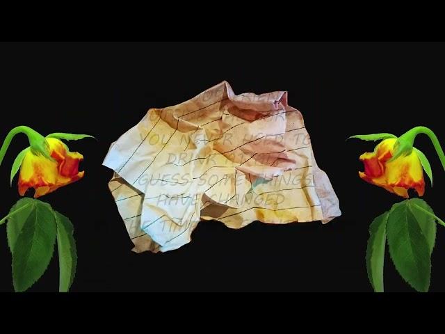 Taylor Mecca - "I Don't Think Ur Sorry" (Official Lyric Video)