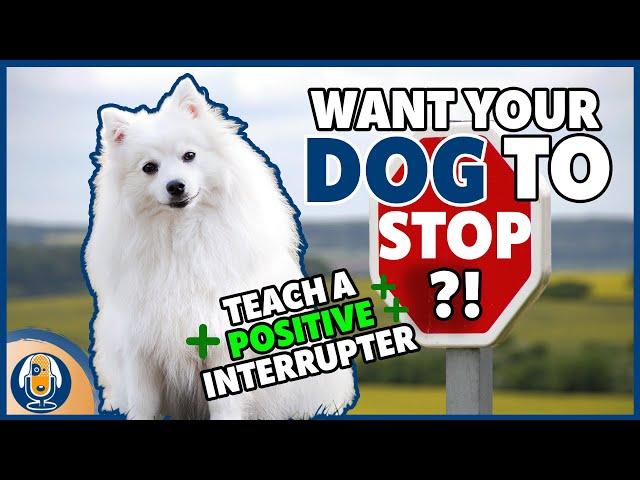 Teach Your Dog A Positive Interrupter To Stop Unwanted Behavior: Step by Step Training