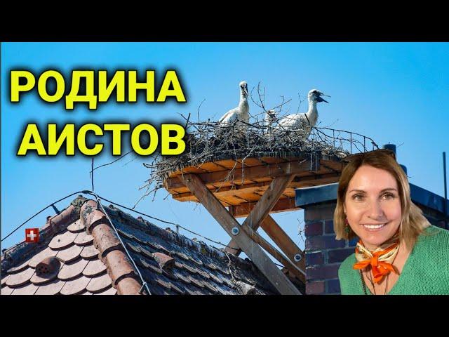 Винная дорога Эльзас| где провести выходной гурмана