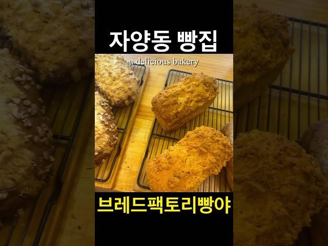 협찬) 빵 맛집 bread