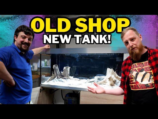 Creating a DISCUS AQUASCAPE in my old aquarium store! (Part1)