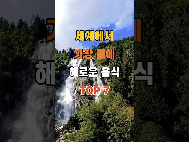 '세계에서 가장 몸에 해로운 음식 TOP7'  #명언 #좋은글 #건강 #지혜 #인생조언 #50代  #60代  #70代