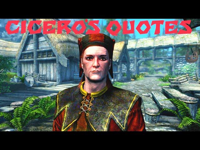 Cicero's quotes in Skyrim towns. Skyrim Special Edition