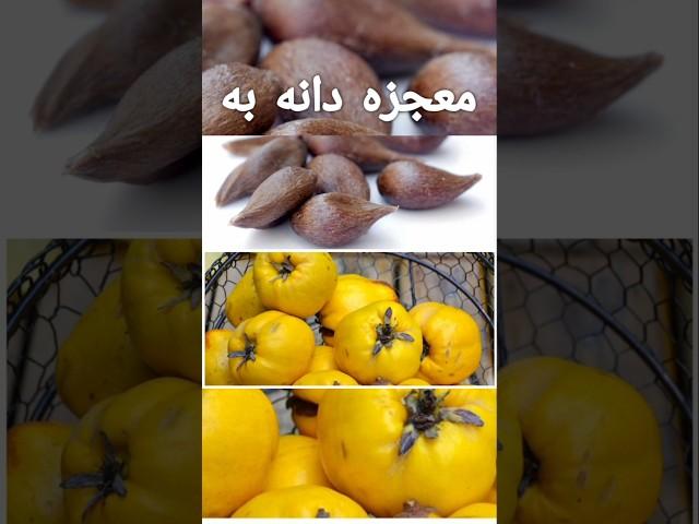 فواید دانه به برای گلو