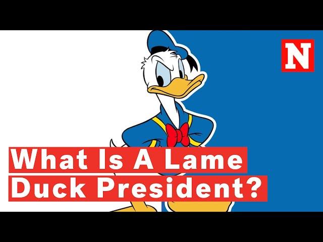 What Is A Lame Duck President? Phrase Explained Amid Trump/Biden 2020 Election