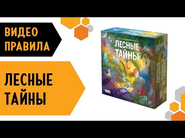 Лесные тайны — Настольная игра. #Видеоправила 