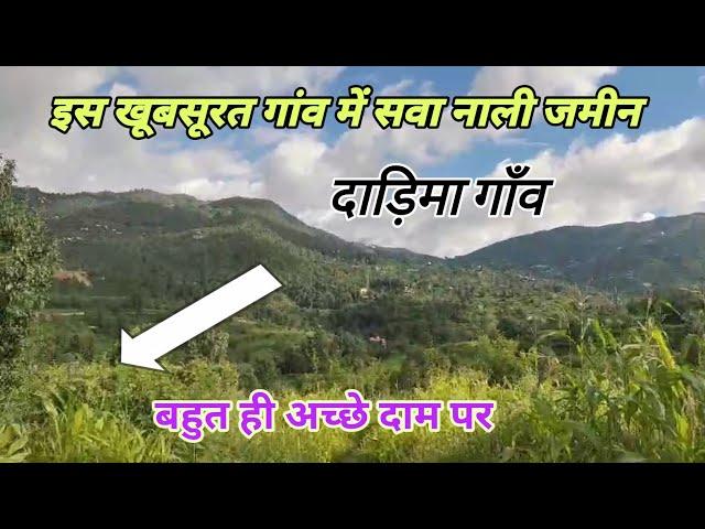 Sawa Nali 300 Gaj Land In Darima Village Mukteshwar ️ Just...... Lakhs ? Mukteshwar Property