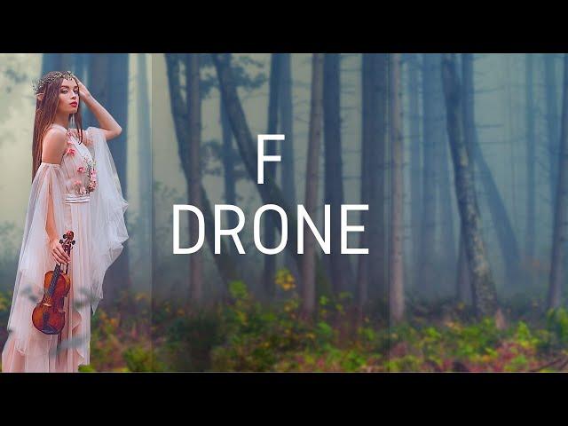 F Drone to Practice to, but you are in a distant Forest