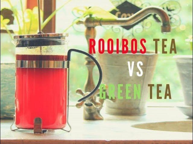 How Did Rooibos Become the Best Weight loss Tea?