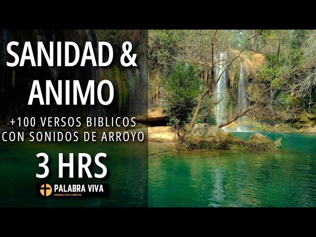 Palabra de Dios para dormir | Versos de sanidad y ánimo para el alma | Sonidos de arroyo | 3 hrs