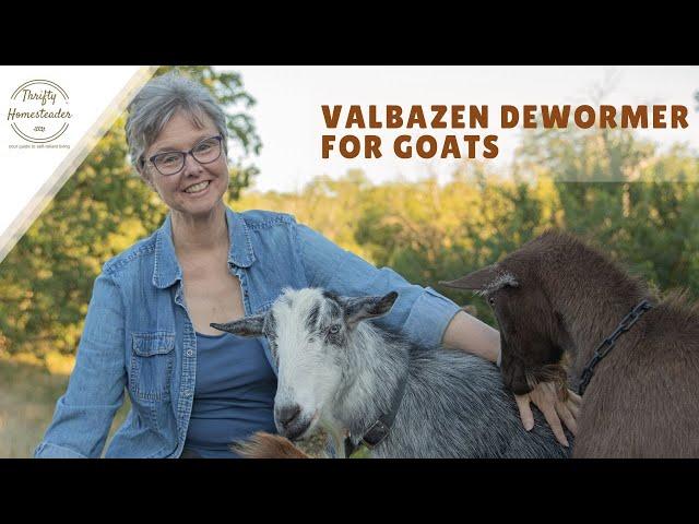 Day 2 -- Using Valbazen dewormer for goats