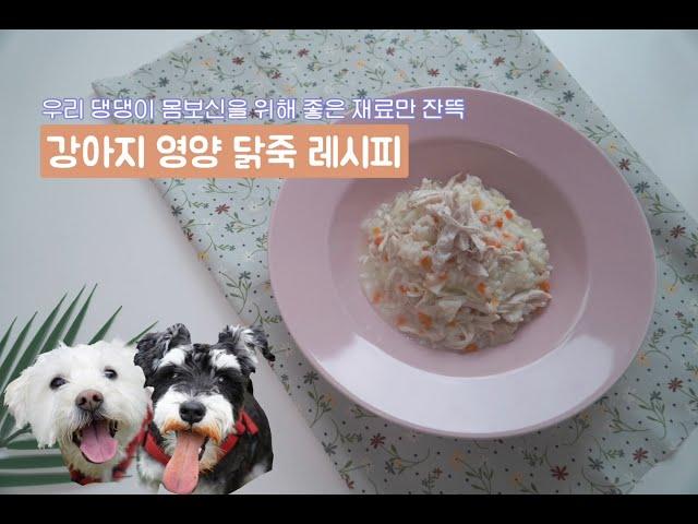 [연두네접시]강아지닭죽 /Dog Chicken Porridge/강아지영양죽 / 강아지기력회복죽 / 강아지열사병걸렸을때 / 강아지설사할때 보식