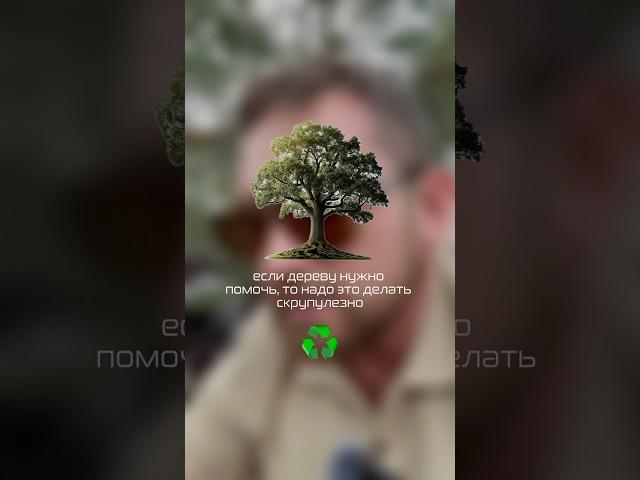 Больше рекомендаций по спасению указали в комментариях  #тренды #ландшафт #сад #ландшафтныйдизайн