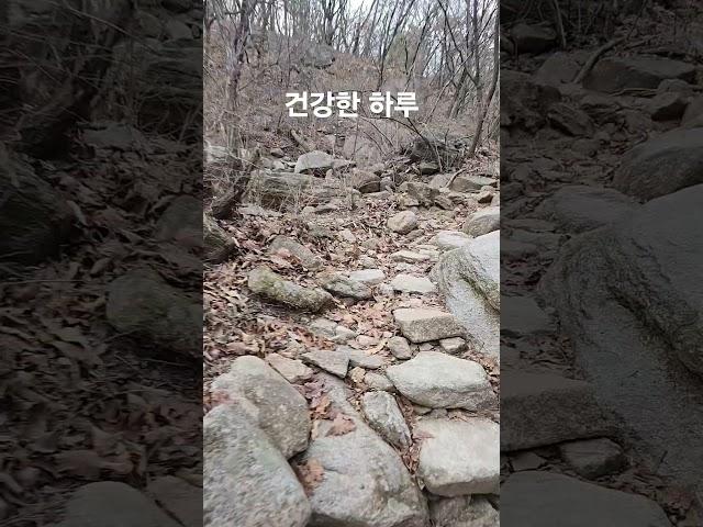 건강한 하루 #김일교수 #여행 #인생은행복해 #생각명료화전문가김일교수 #걷기전문가 #travel #자연의힘 #수락산행