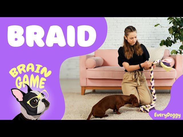 Brain Game for Puppies and Dogs — Braid | EveryDoggy