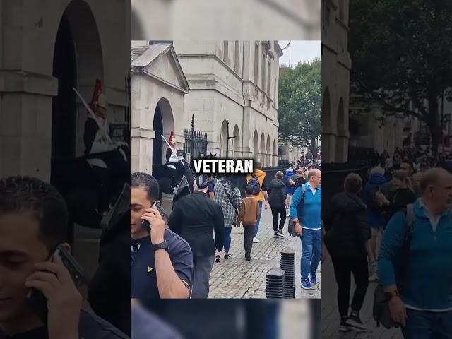 The Moment When a Veteran Salutes Both King's Guards