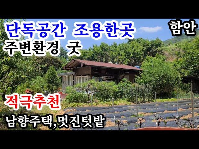 함안촌집1245㎡(377평) 마을 떨어진 주변 간섭없는 단독공간에위치 조용히 전원생활 즐길수있는주택 마당내 주차4~5대가능 잘 가꿔논 멋진 텃밭에 각종 유실수및웰빙식물재배 함안땅